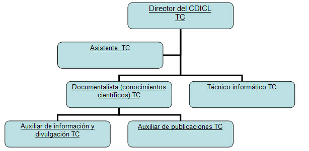 organigrama2