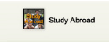 study abroad